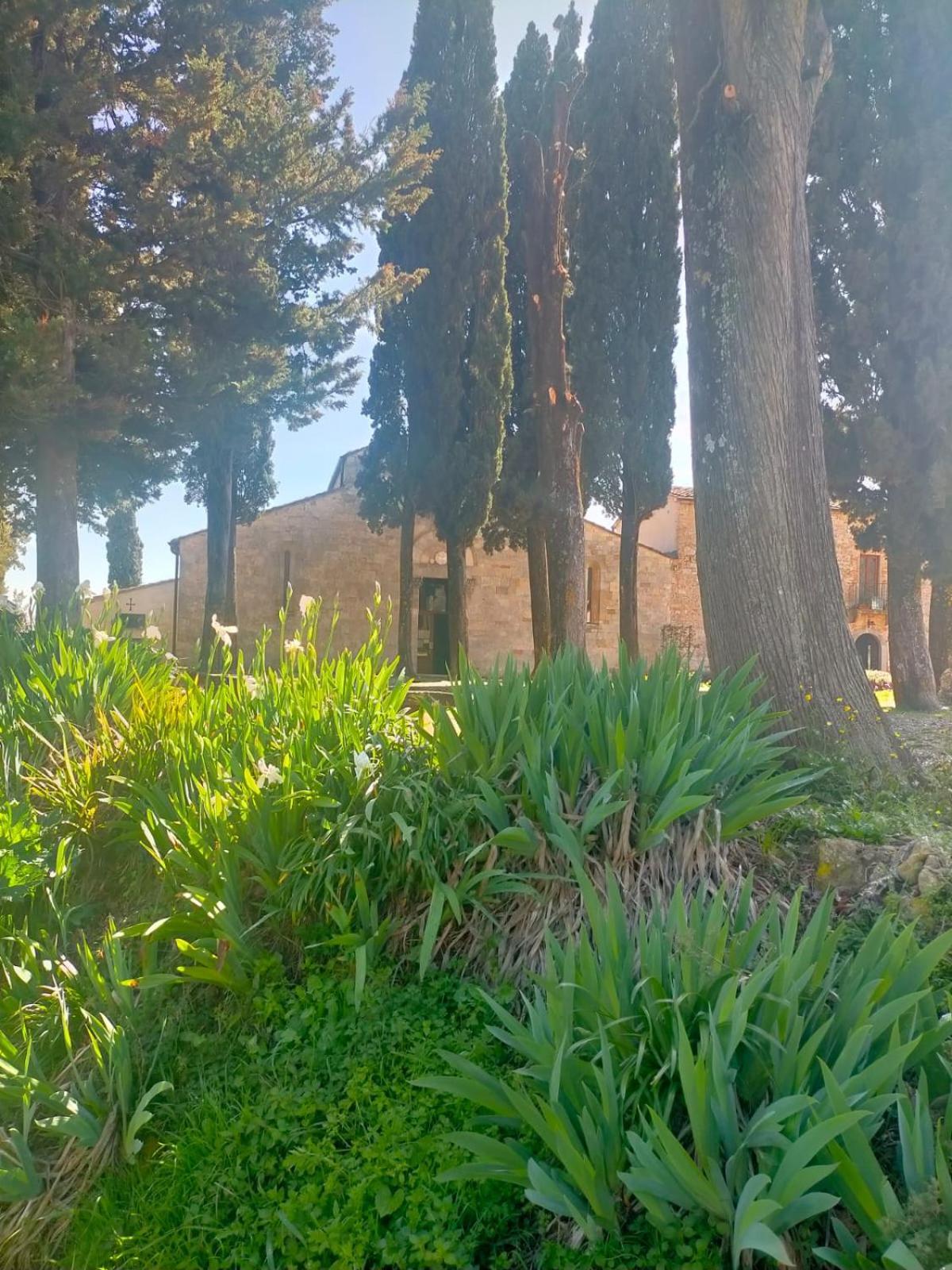 Cielo - Antica Casa Sulla Via Francigena Vila San Gimignano Exterior foto