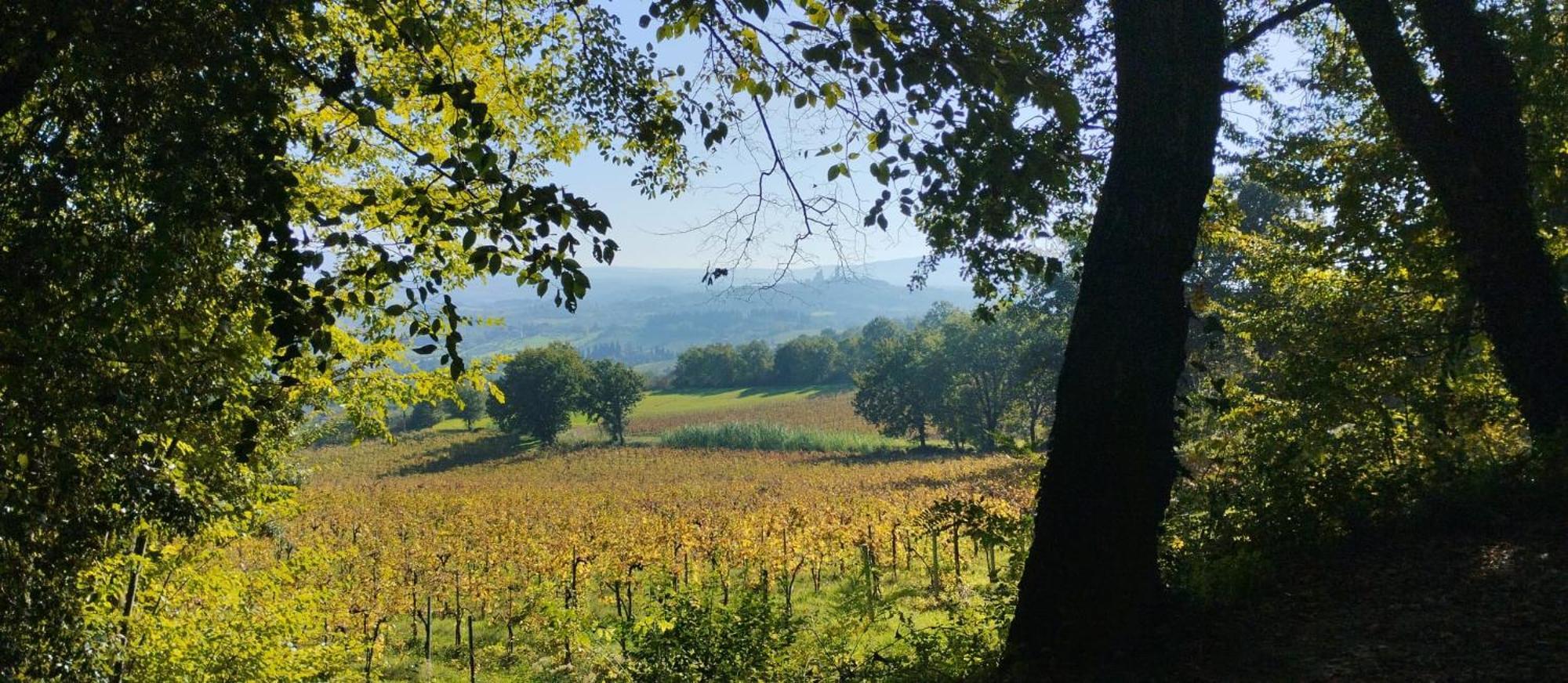 Cielo - Antica Casa Sulla Via Francigena Vila San Gimignano Exterior foto